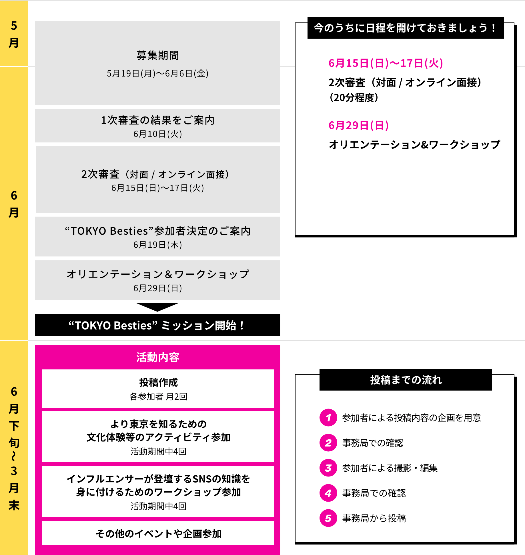 活動スケジュール