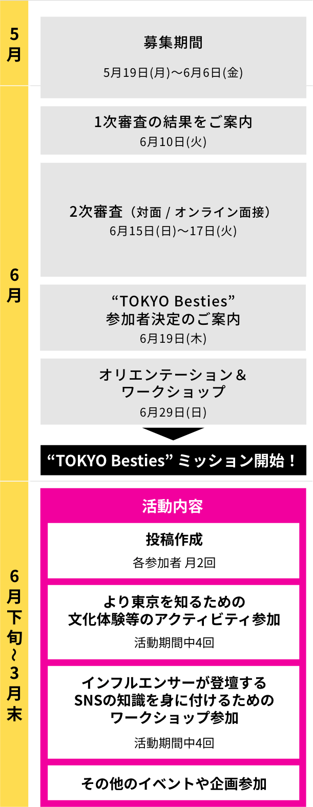 活動スケジュール